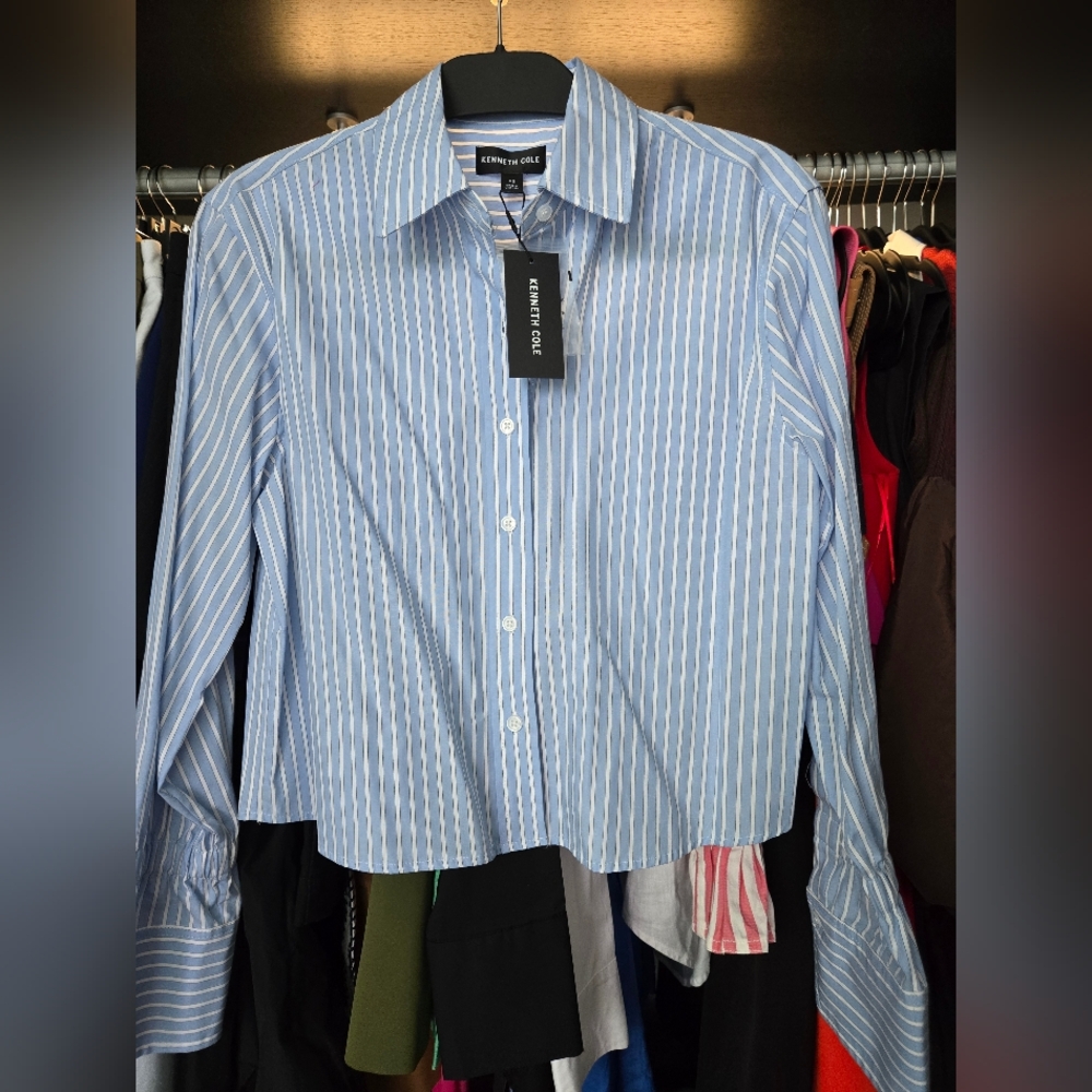 Kenneth Cole Men's Blue Striped Button Down Shirt